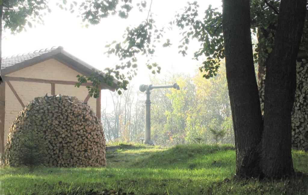 Apartamenty Carskie Białowieża Extérieur photo
